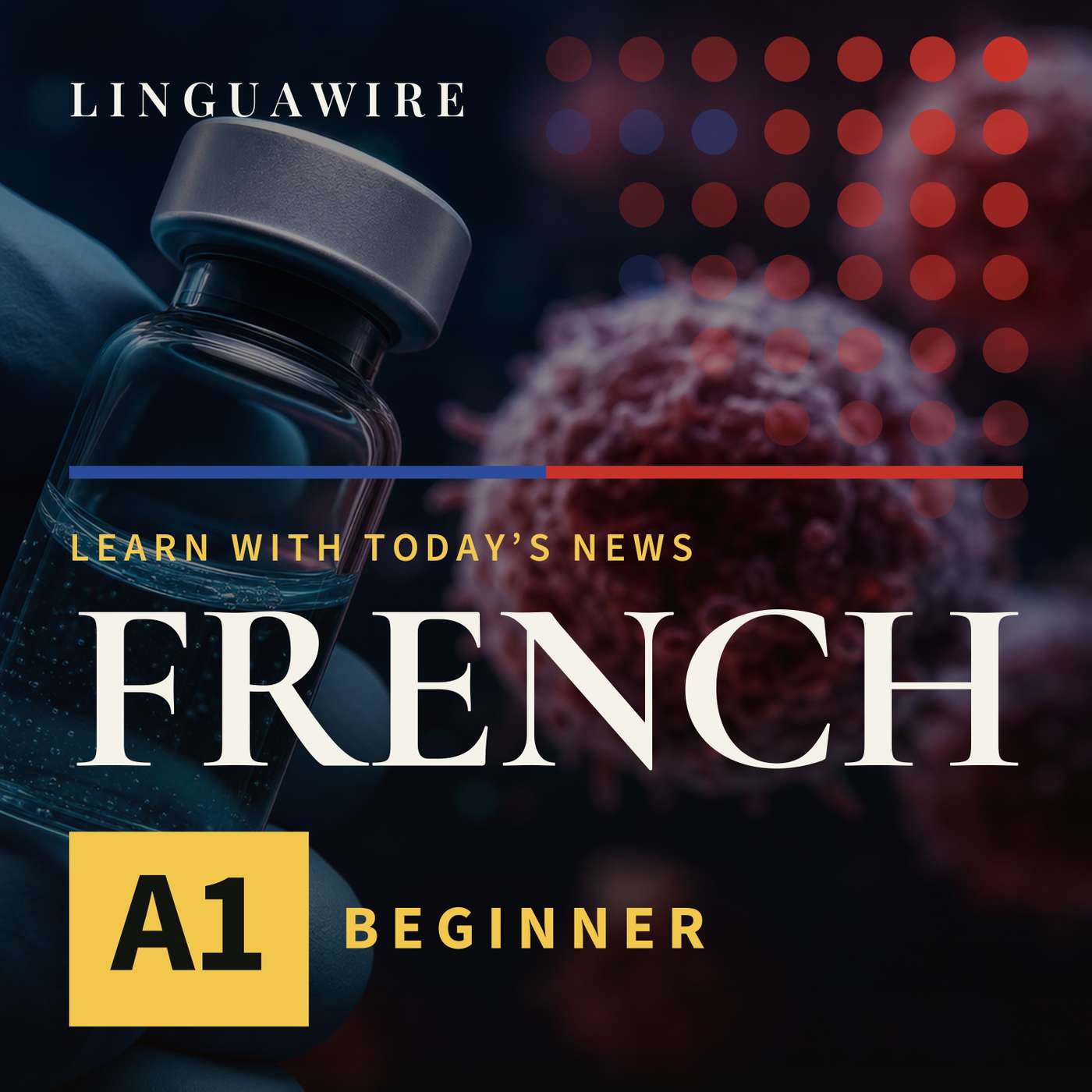 A1 French News | Can a Cancer Vaccine Help Stop Melanoma?