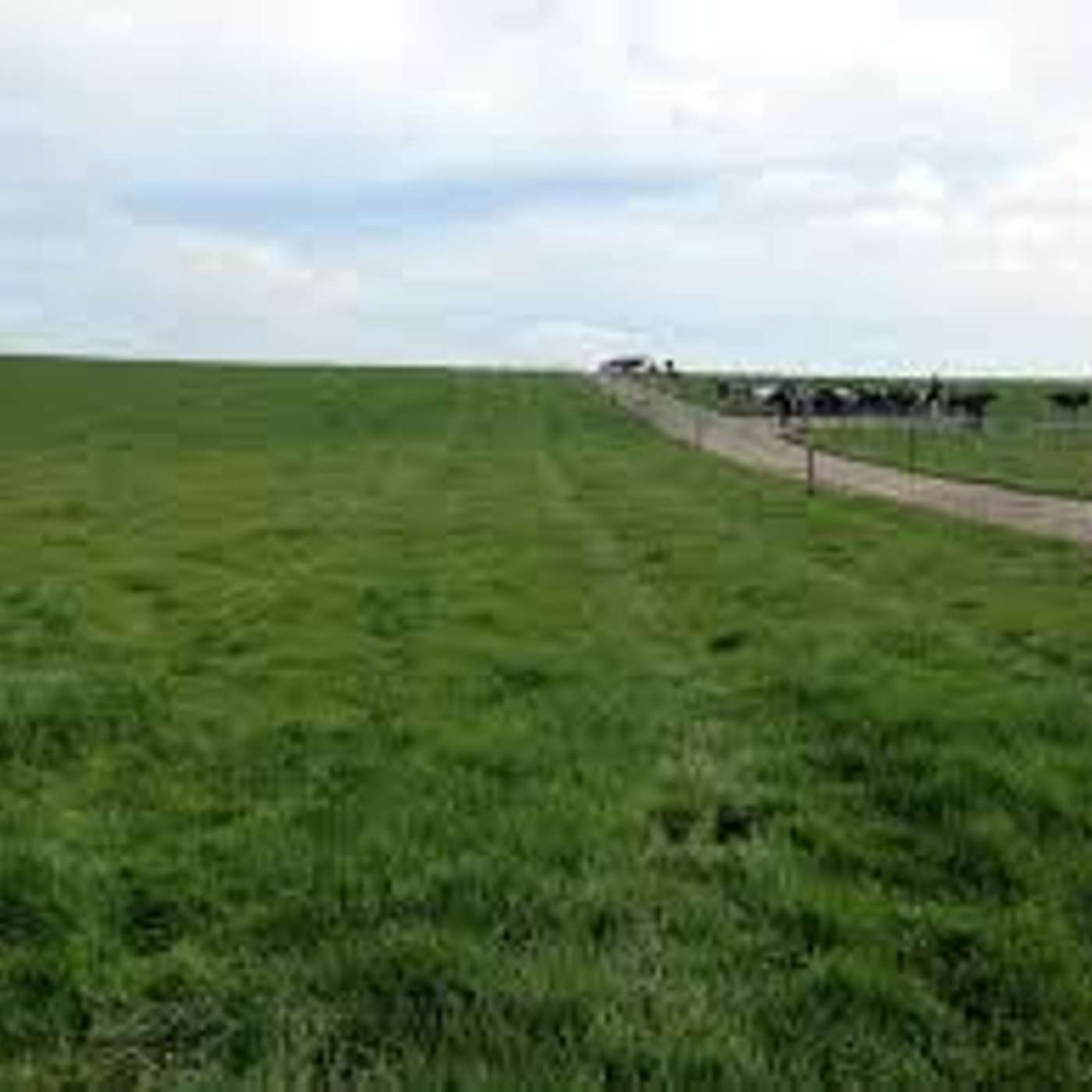 How to maximise grass utilisation during a drought