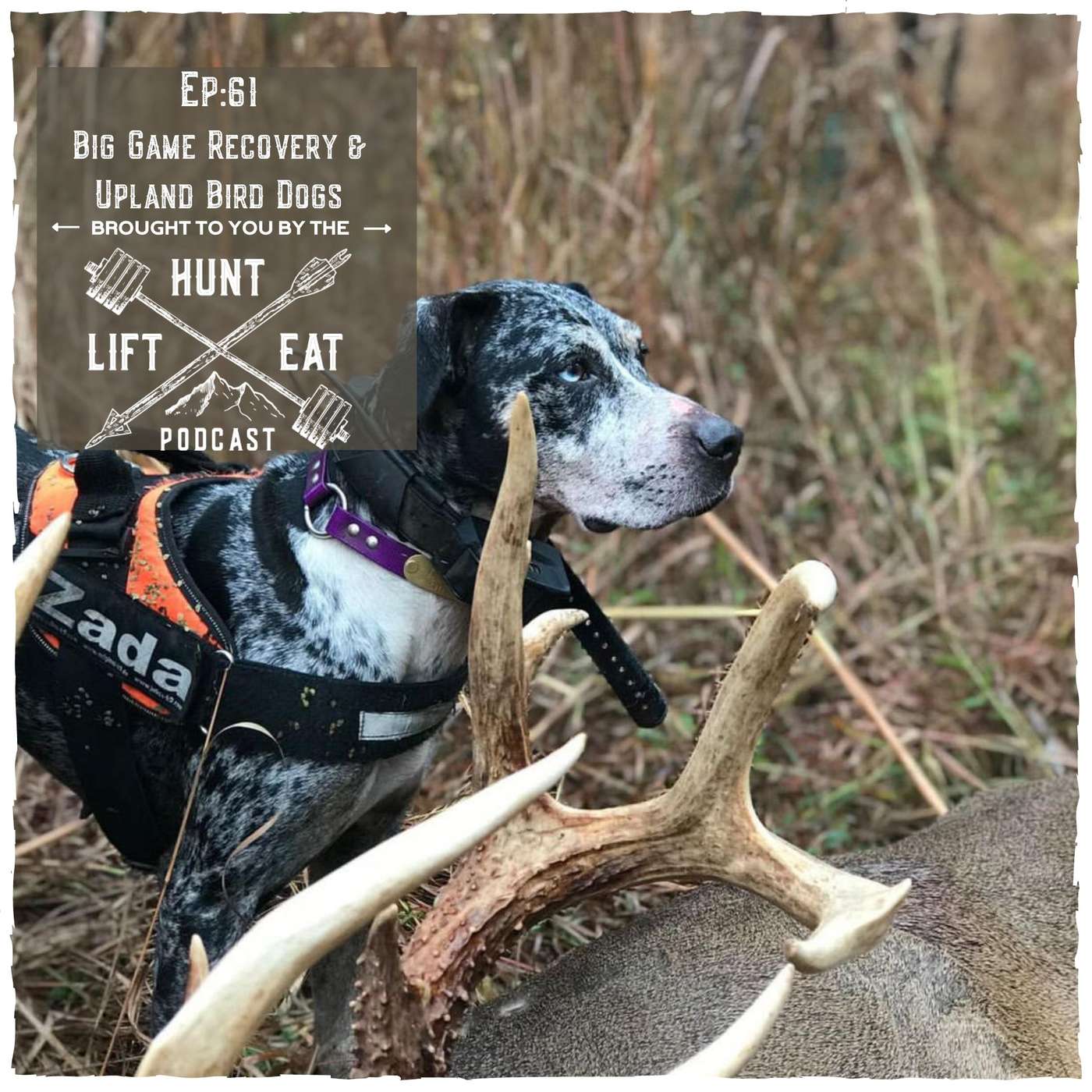 The Hunt Lift Eat Podcast