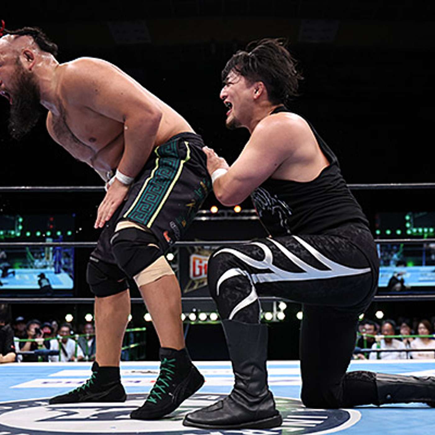 Tea-1 35 N12 Tea-1 35 N12