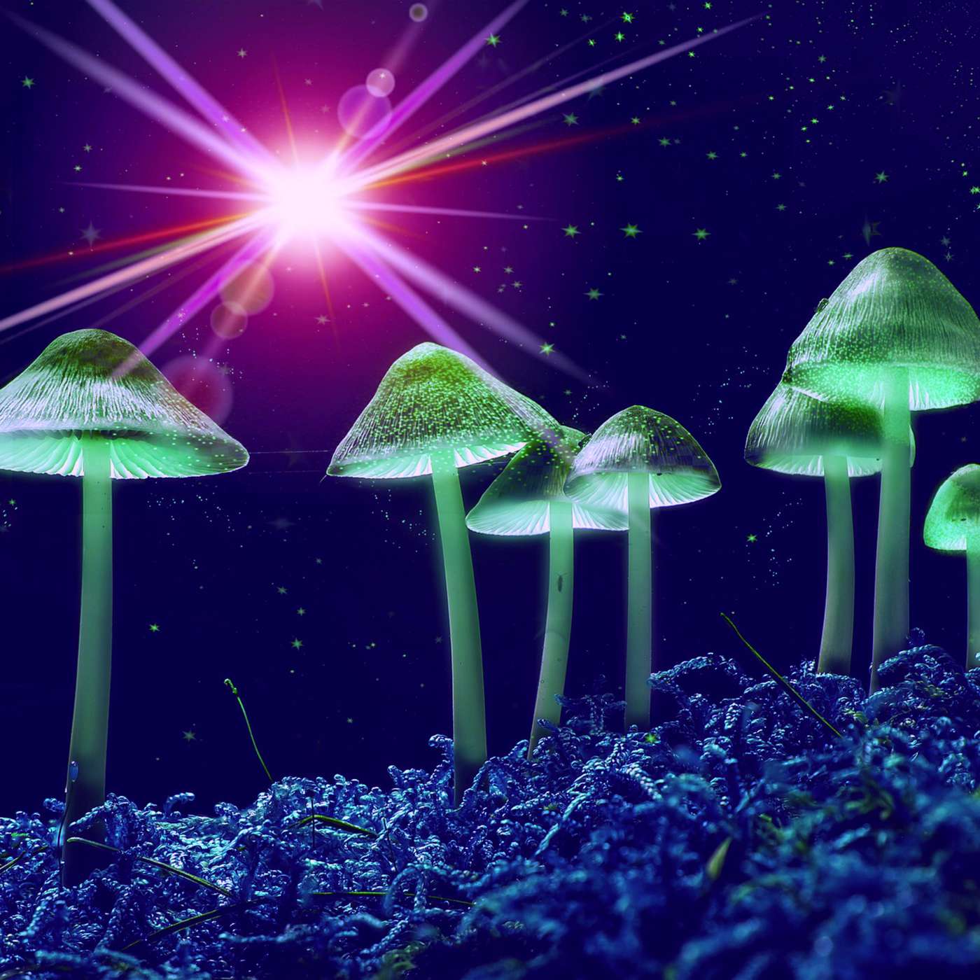 Philosopher Spotlight: Terence McKenna Part 3 — Psychedelics, Consciousness & the Mind