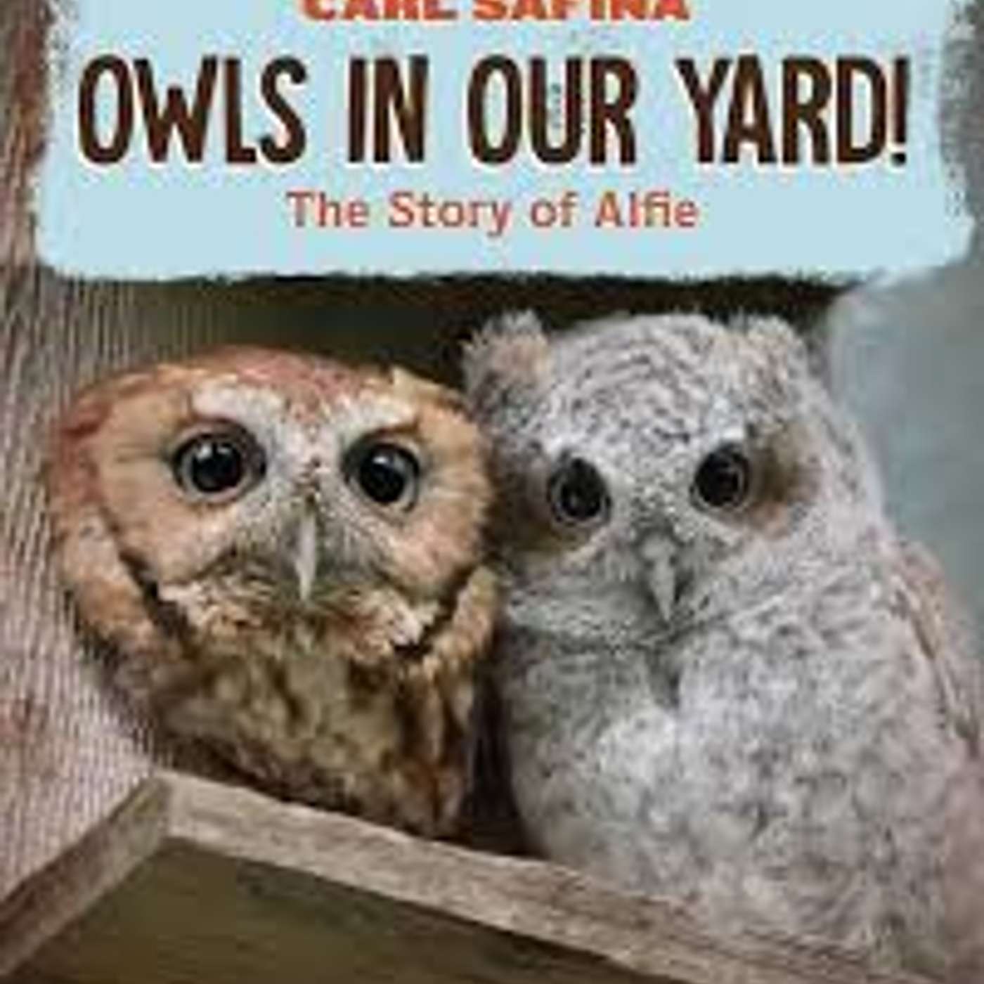 Digging In The Dirt with Kevin Gallagher