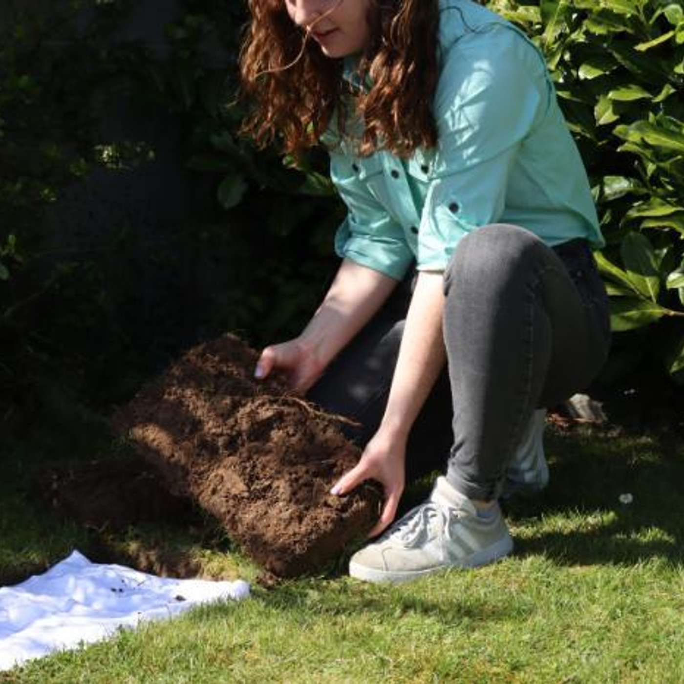 The GroundTruth Project