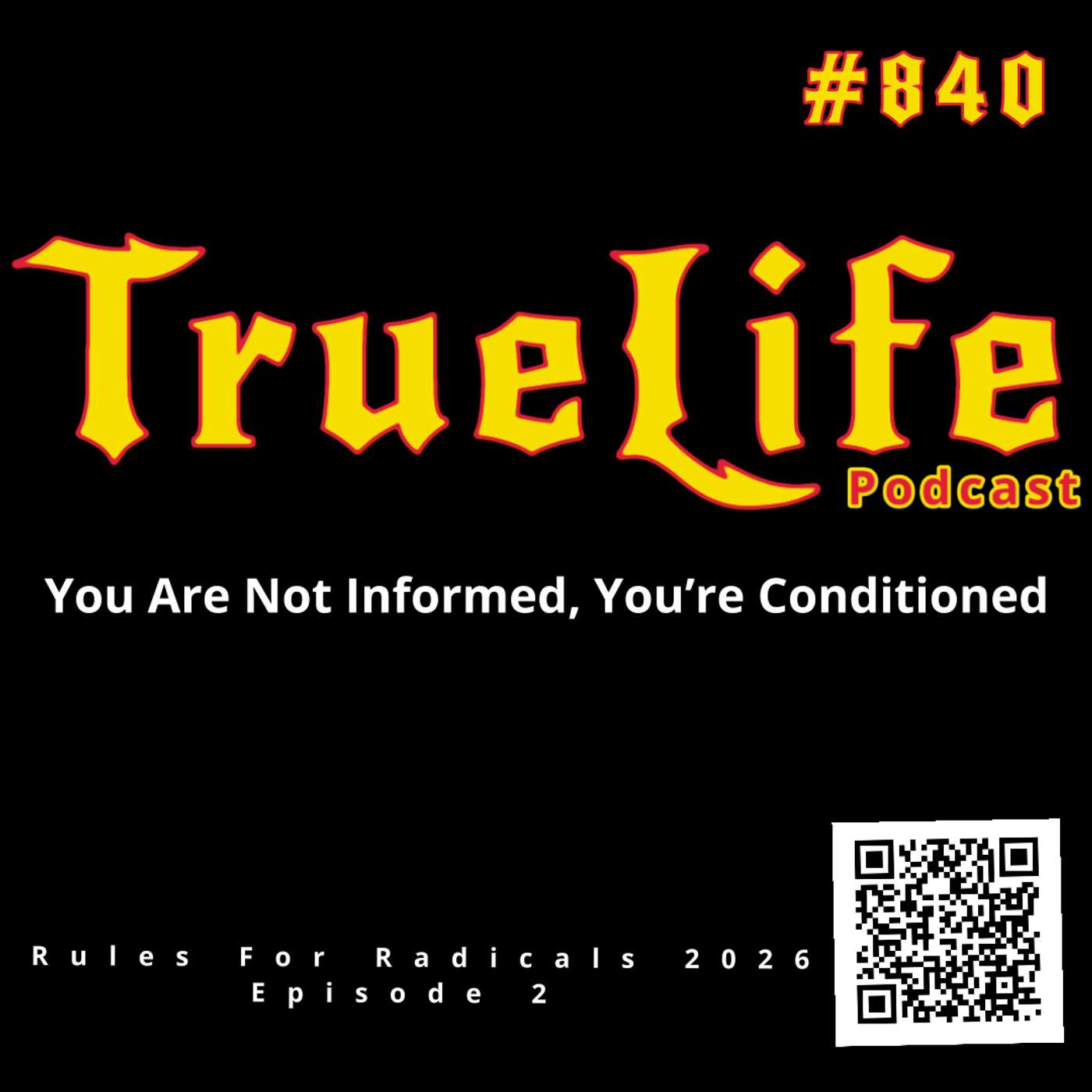 Daily Transmission - You Are Not Informed…You Are Conditioned