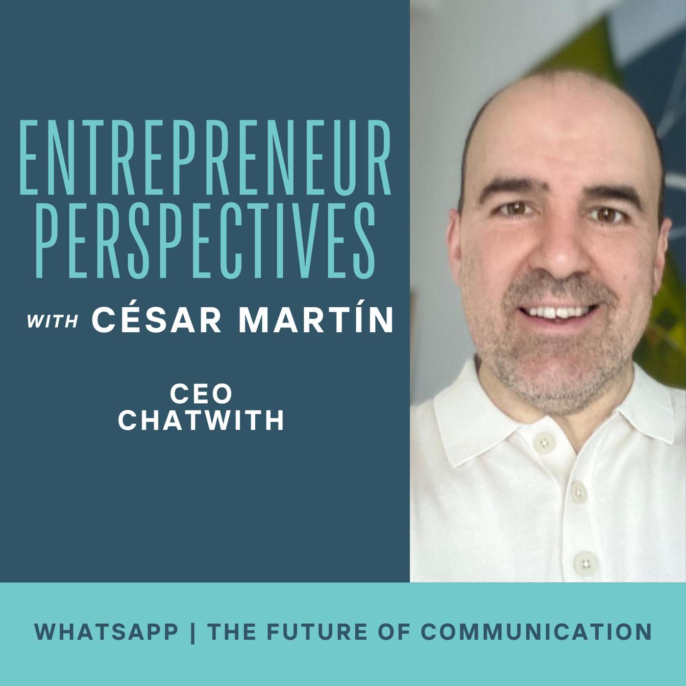 Entrepreneur Perspectives