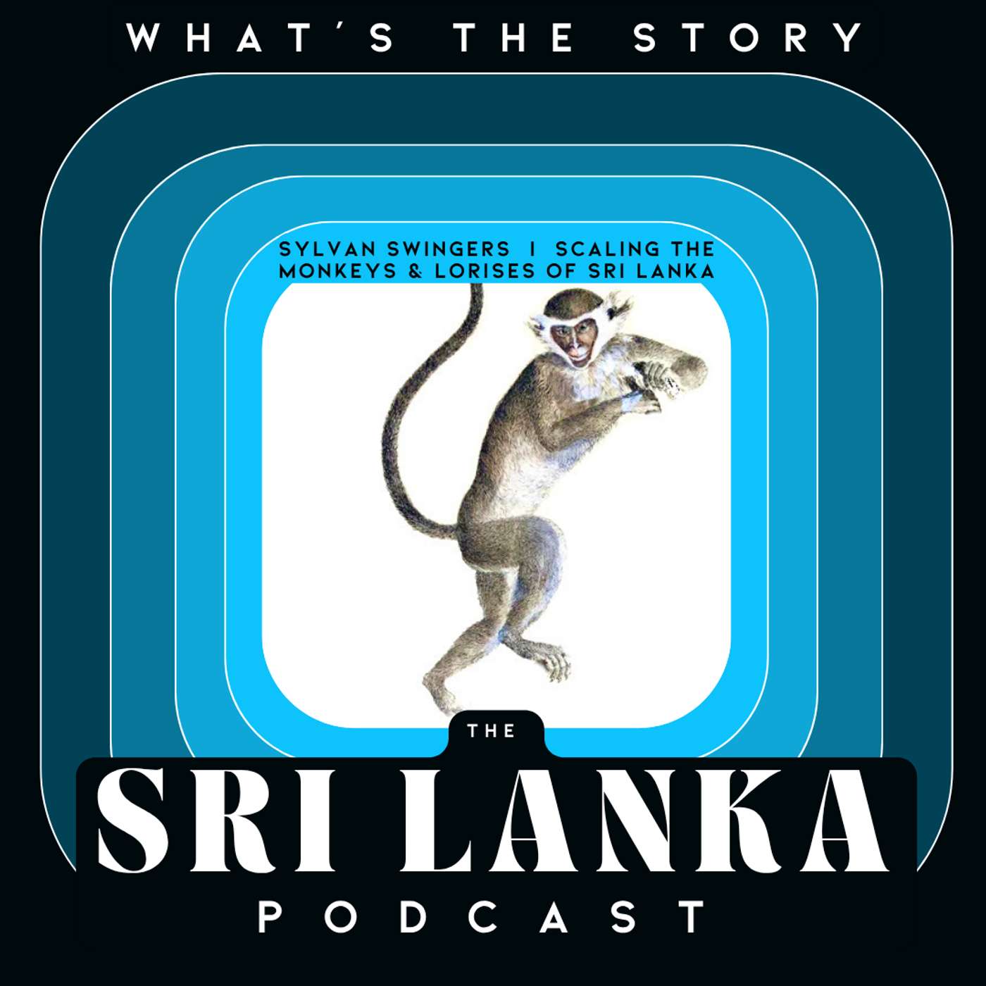 Sylvan Swingers  I  Scaling The Monkeys & Lorises of Sri Lanka episode artwork