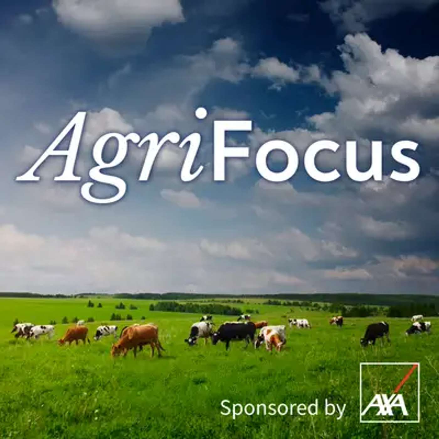AgriFocus: ‘They threatened to burn down the farm’ - Rural Crime Focus