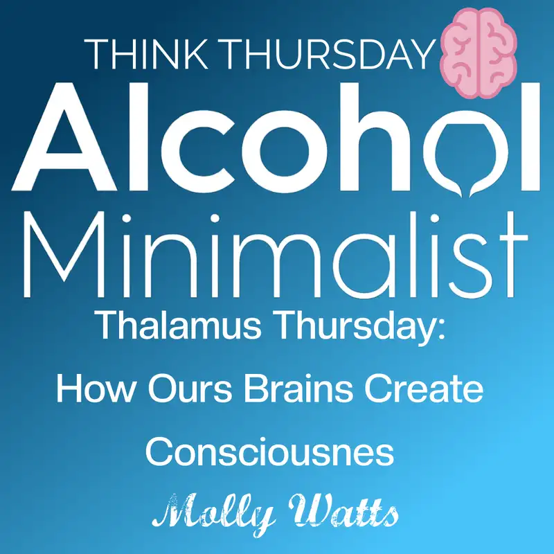 Think Thursday: Thalamus Thursday-How Our Brains Create Consciousness