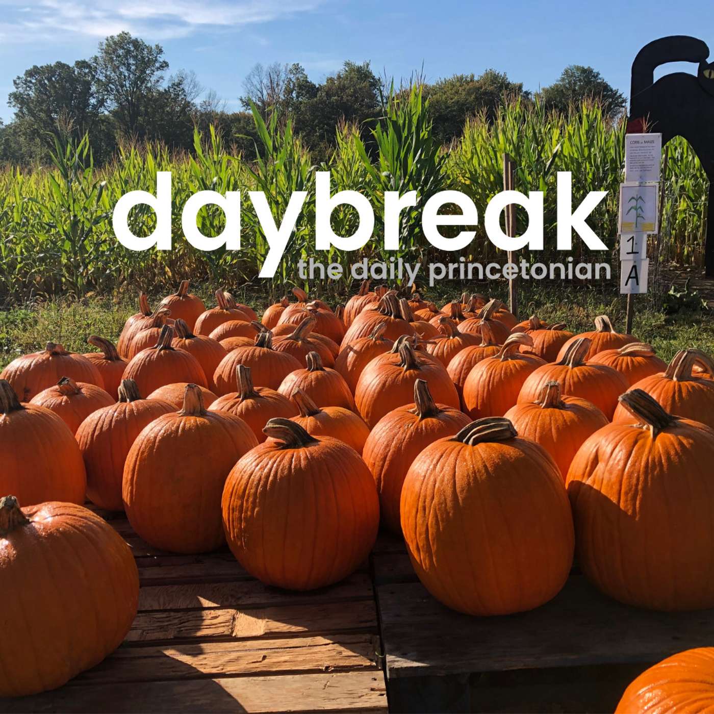 Daybreak Celebrates Fall episode artwork