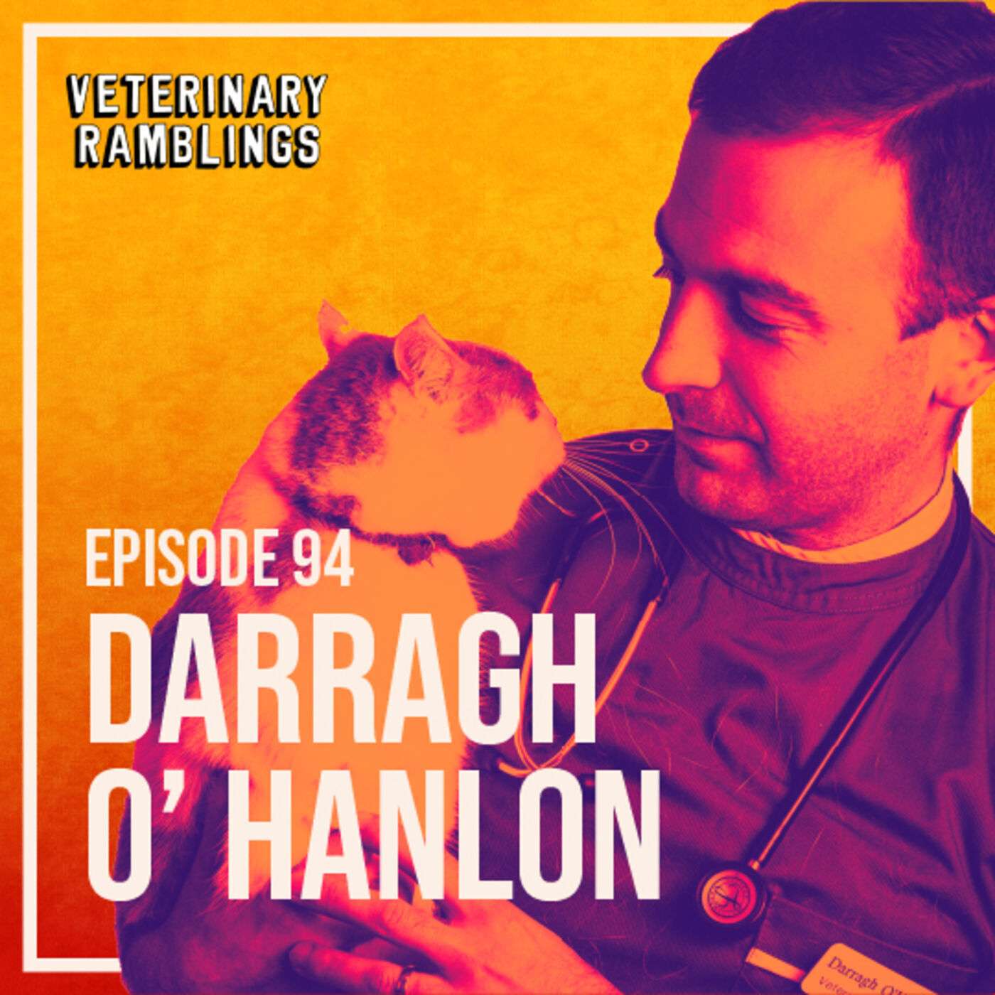 Ep 94: Veterinary Dermatology With Dr Darragh O' Hanlon AKA @thetopicalvet episode artwork
