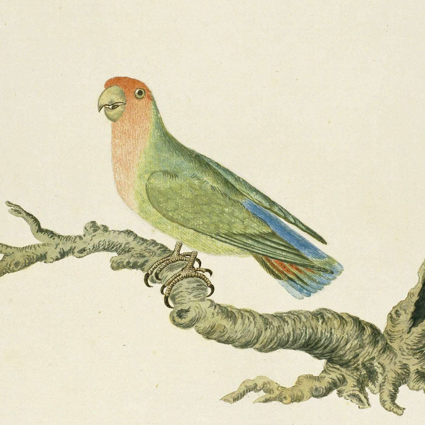 What I found in one of the tiniest languages What I found in one of the tiniest languages