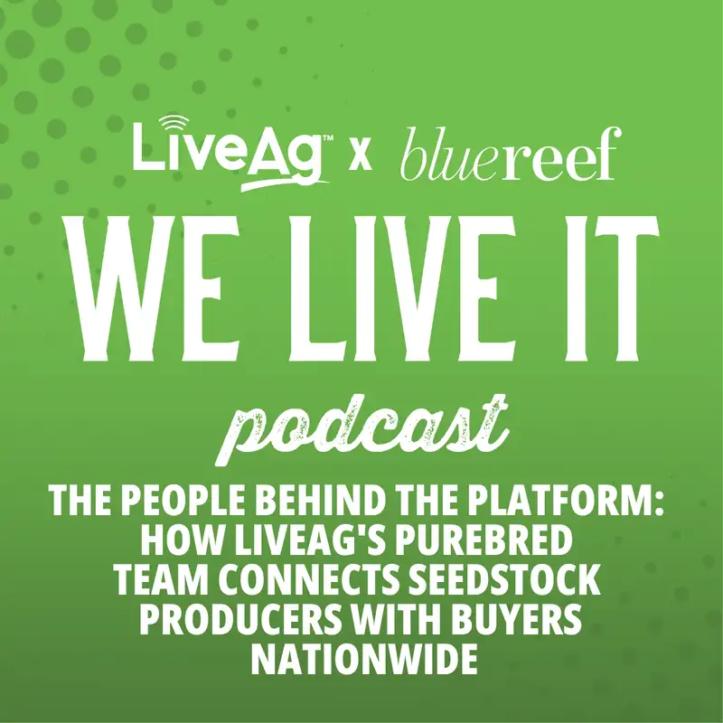 The People Behind the Platform: How LiveAg's Purebred Team Connects Seedstock Producers with Buyers Nationwide
