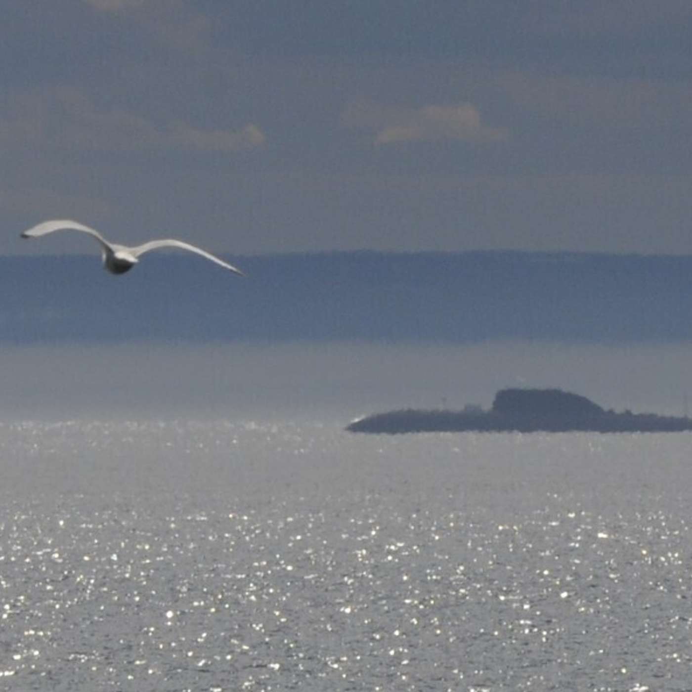 На главном морском параде не будет атомных подлодок Северного флота