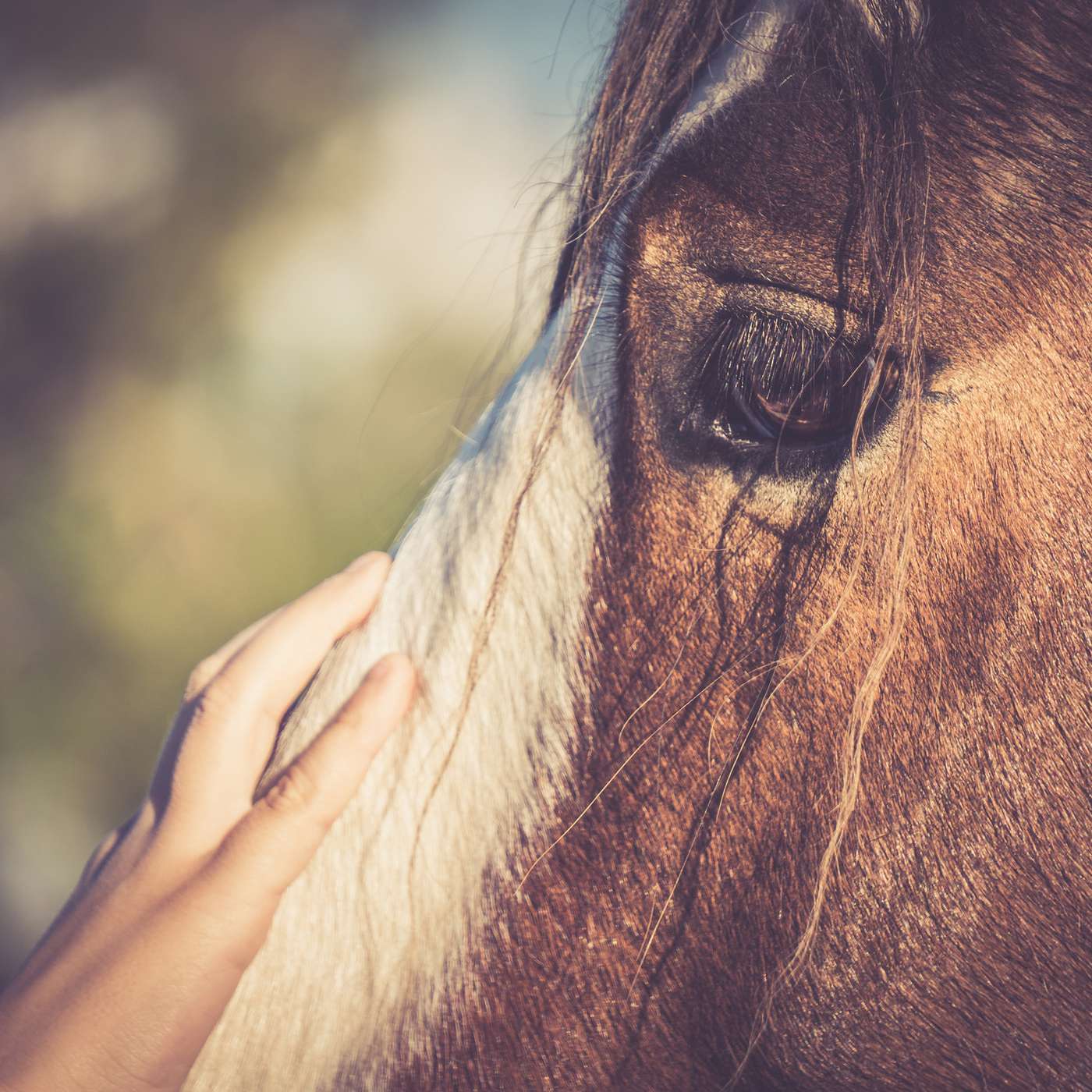 Wellbeing: It’s about wholeness, not happiness - with Dr Mark Fabian, author of Beyond Happy