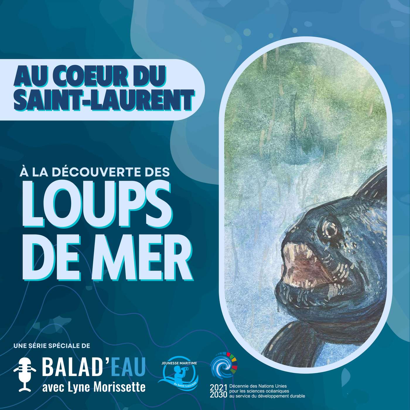 AU COEUR DU SAINT-LAURENT: à la découverte des LOUPS