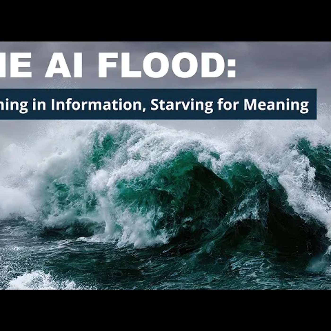 The AI Flood Drowning in Information, Starving for Meaning​ episode artwork