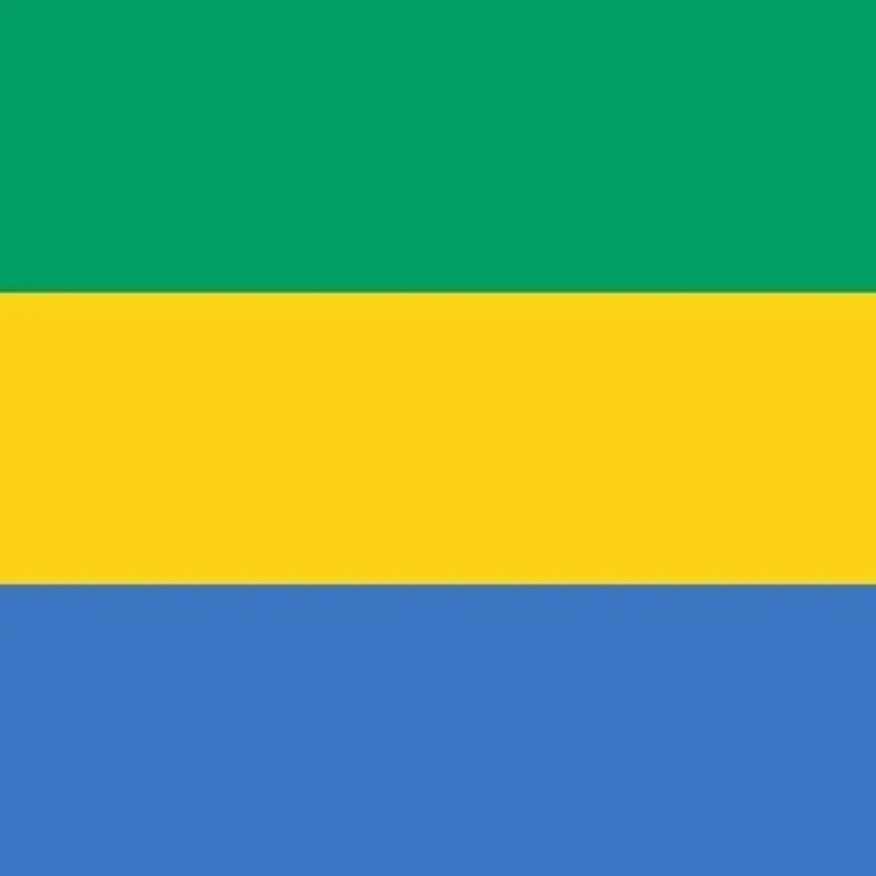 La situation de crise au Gabon