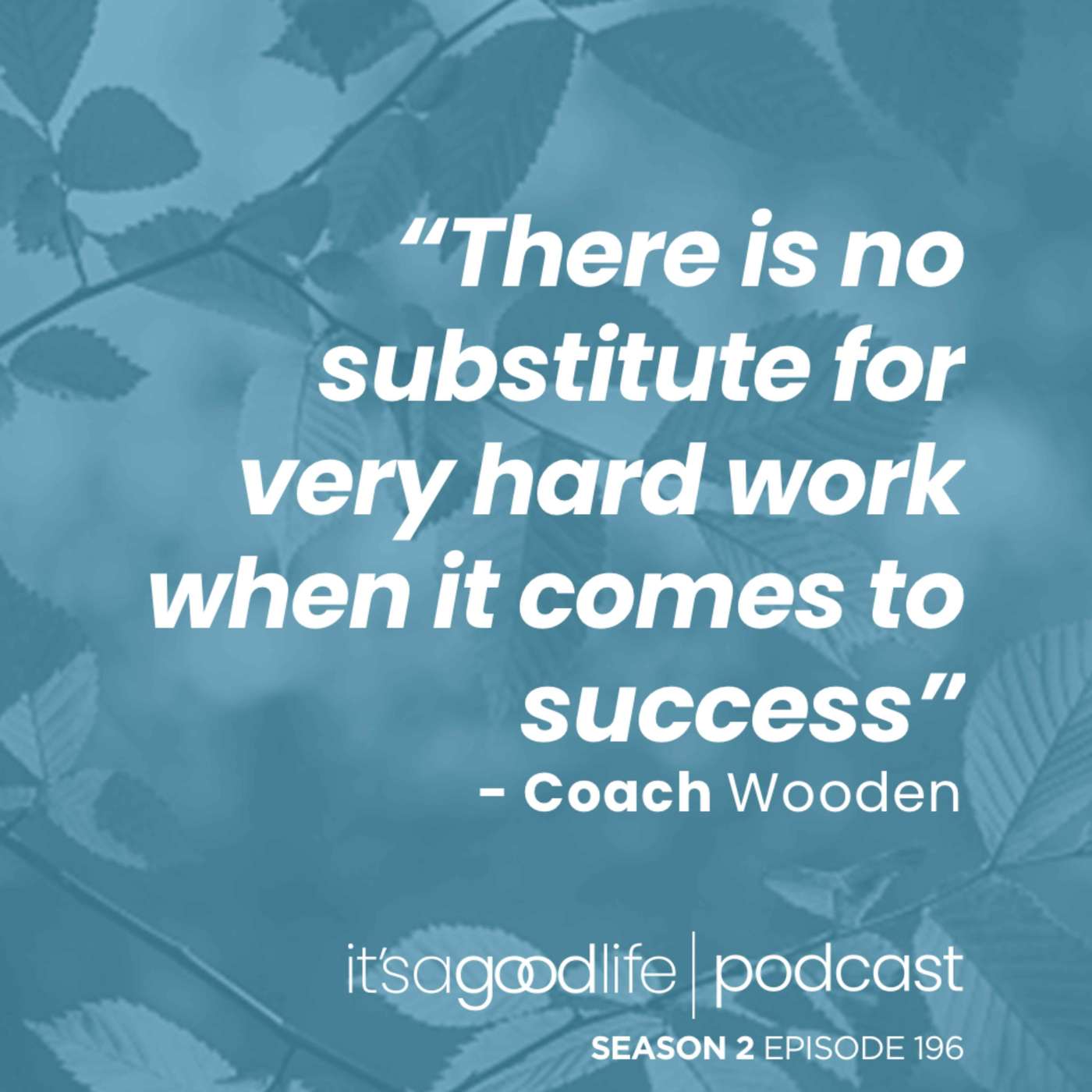 S2E196 10 Weeks With Wooden