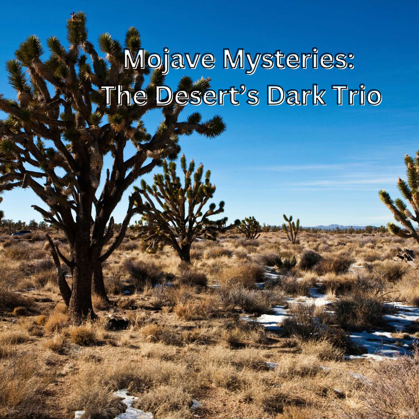 Unrefined Podcast .com