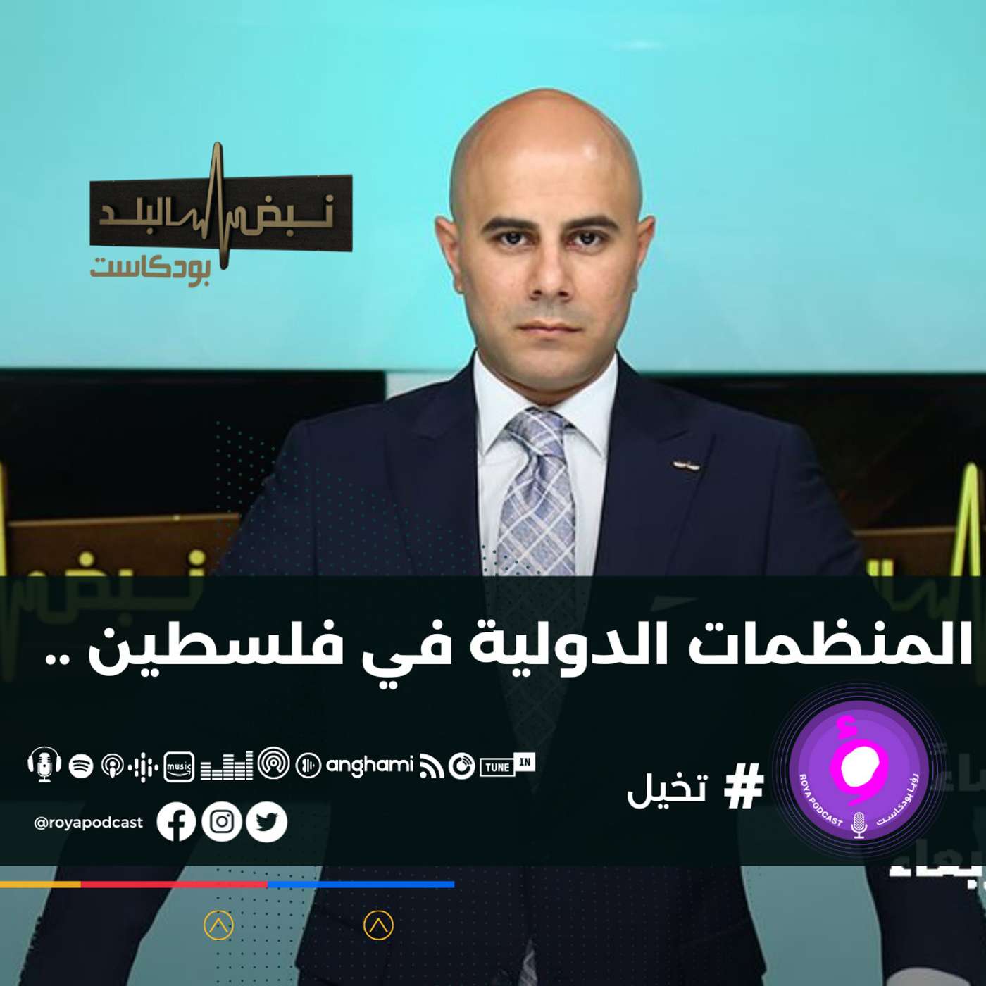 المنظمات الدولية في فلسطين ..