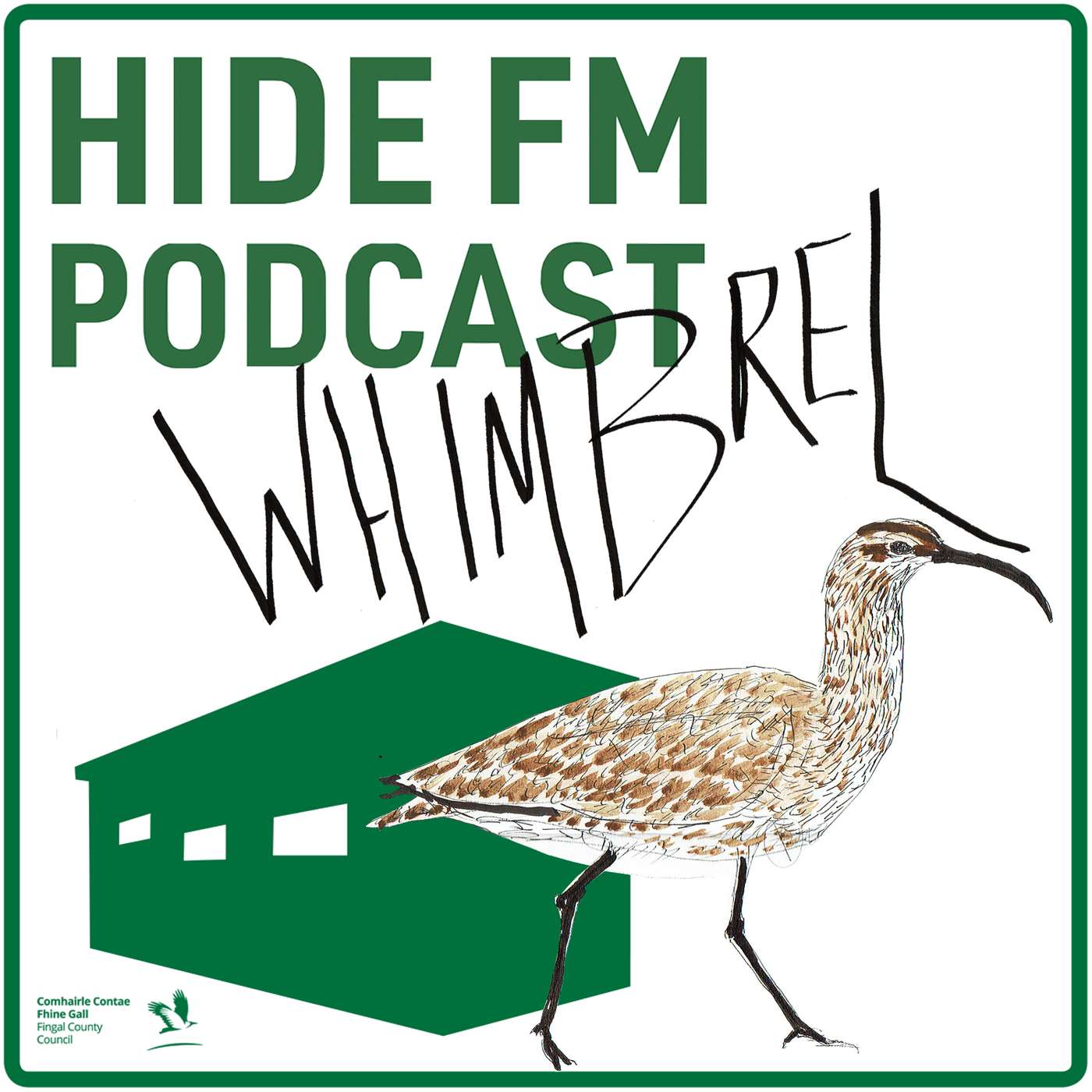 WHIMBREL - NUMENIUS PHAEOPUS WHIMBREL - NUMENIUS PHAEOPUS