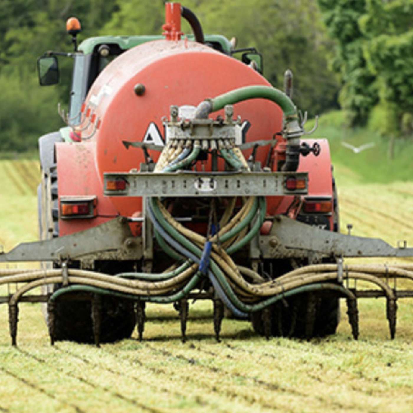 How will the new Nitrates policy impact your farm business?