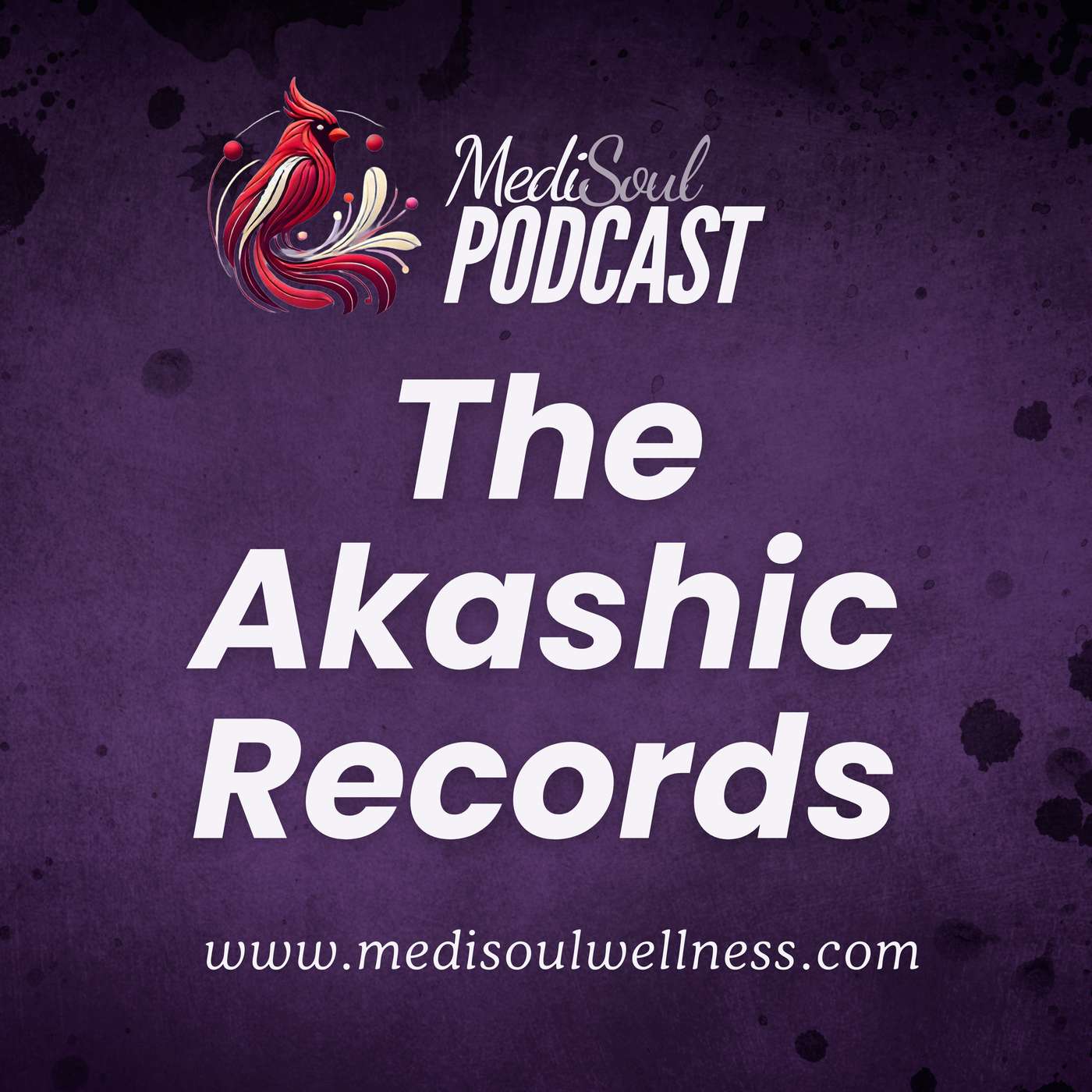 The Akashic Records episode artwork