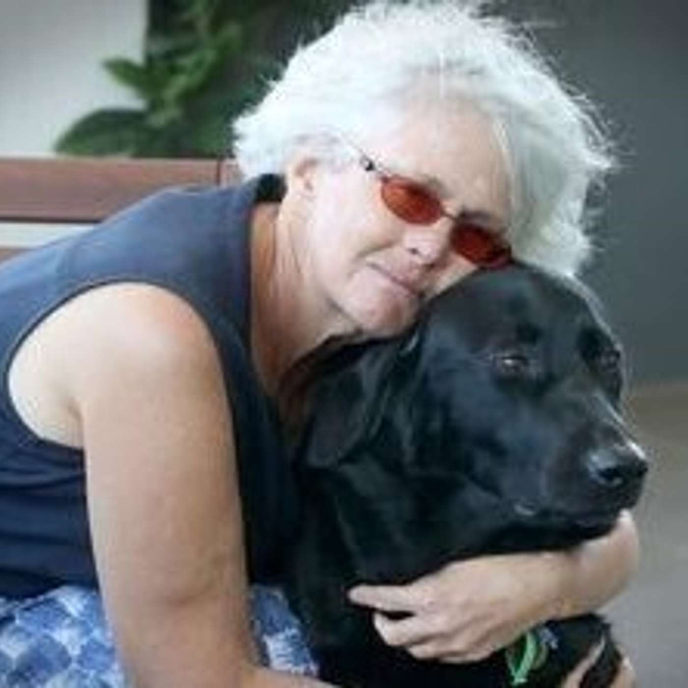 A Journey with Bernie