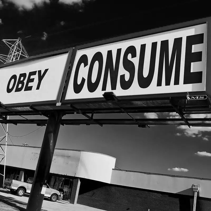 V-section 9: Consumerism: Mega rolls and Single serving Bullshit