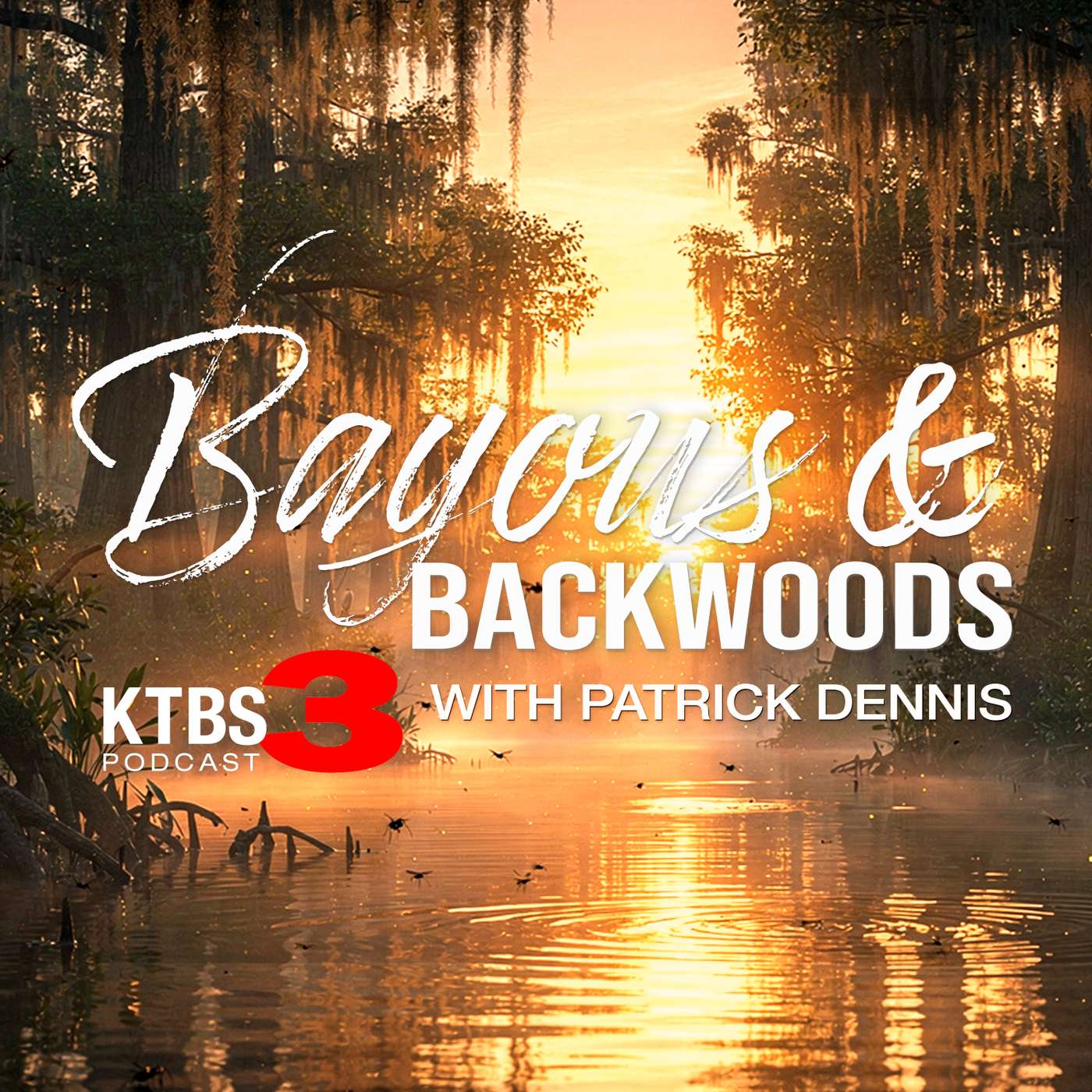 Bayous & Backwoods cover art