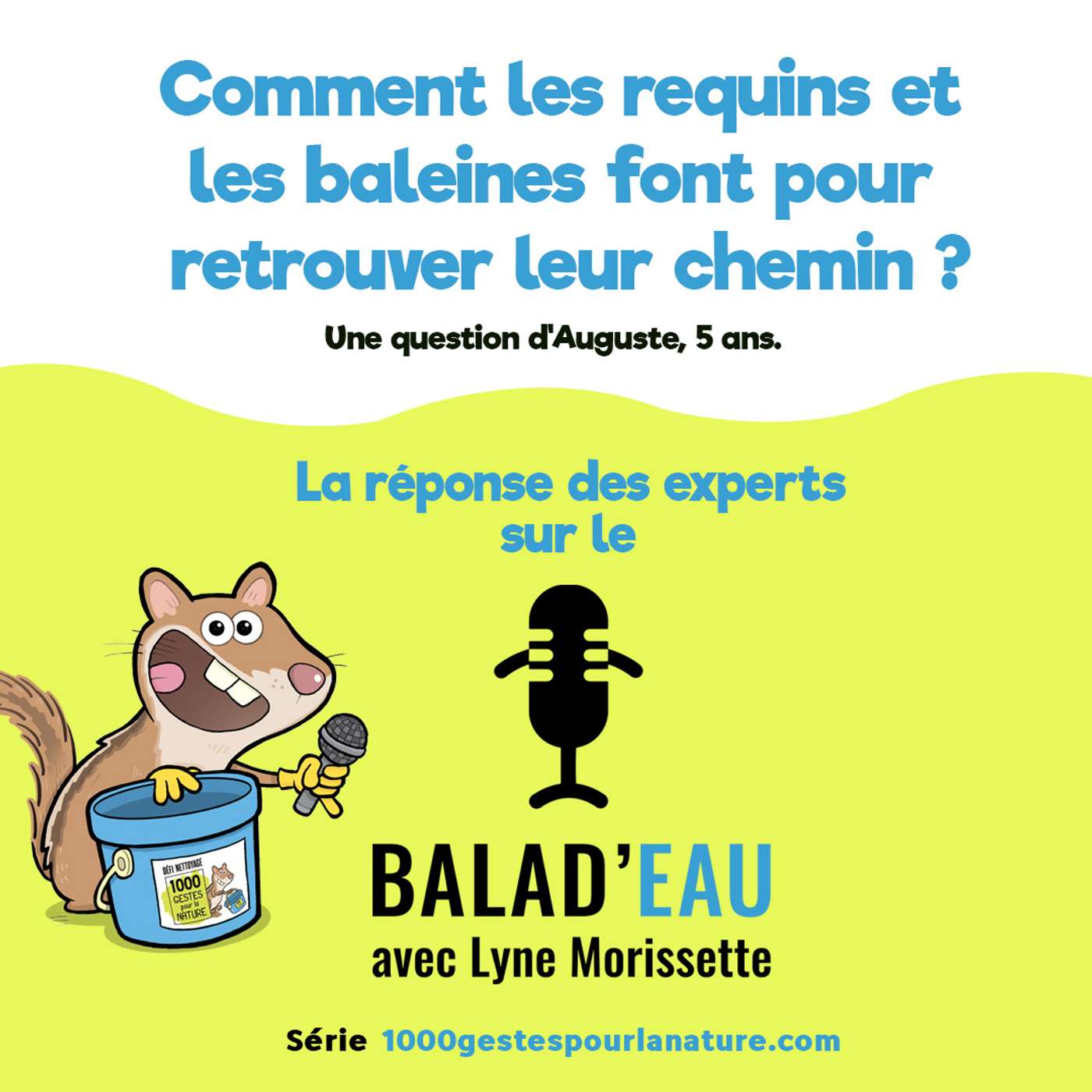 Vignette de l’épisode Comment les requins et les baleines font pour retrouver leur chemin?
