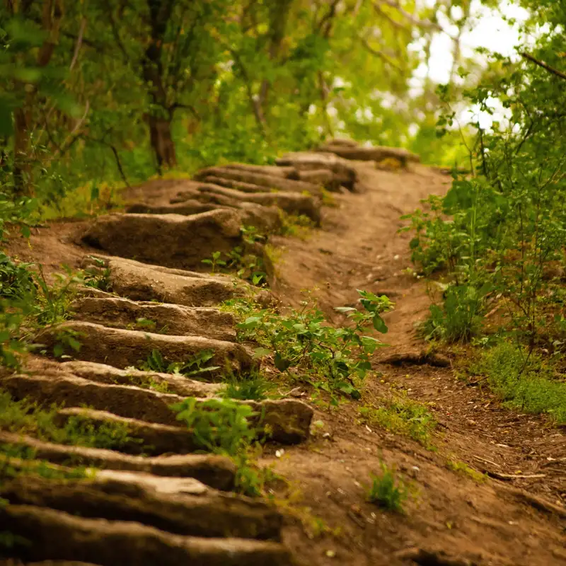 The Terry Tucker Story - Discipline = Freedom  