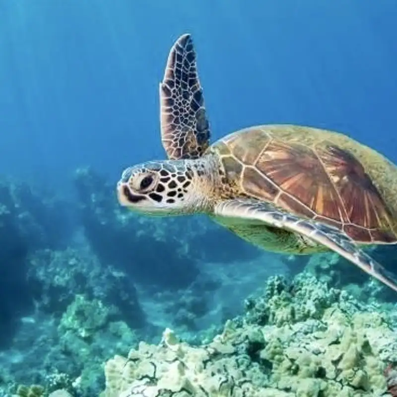 Redefining Tourism: Global Systems, Culture & the Future of Travel