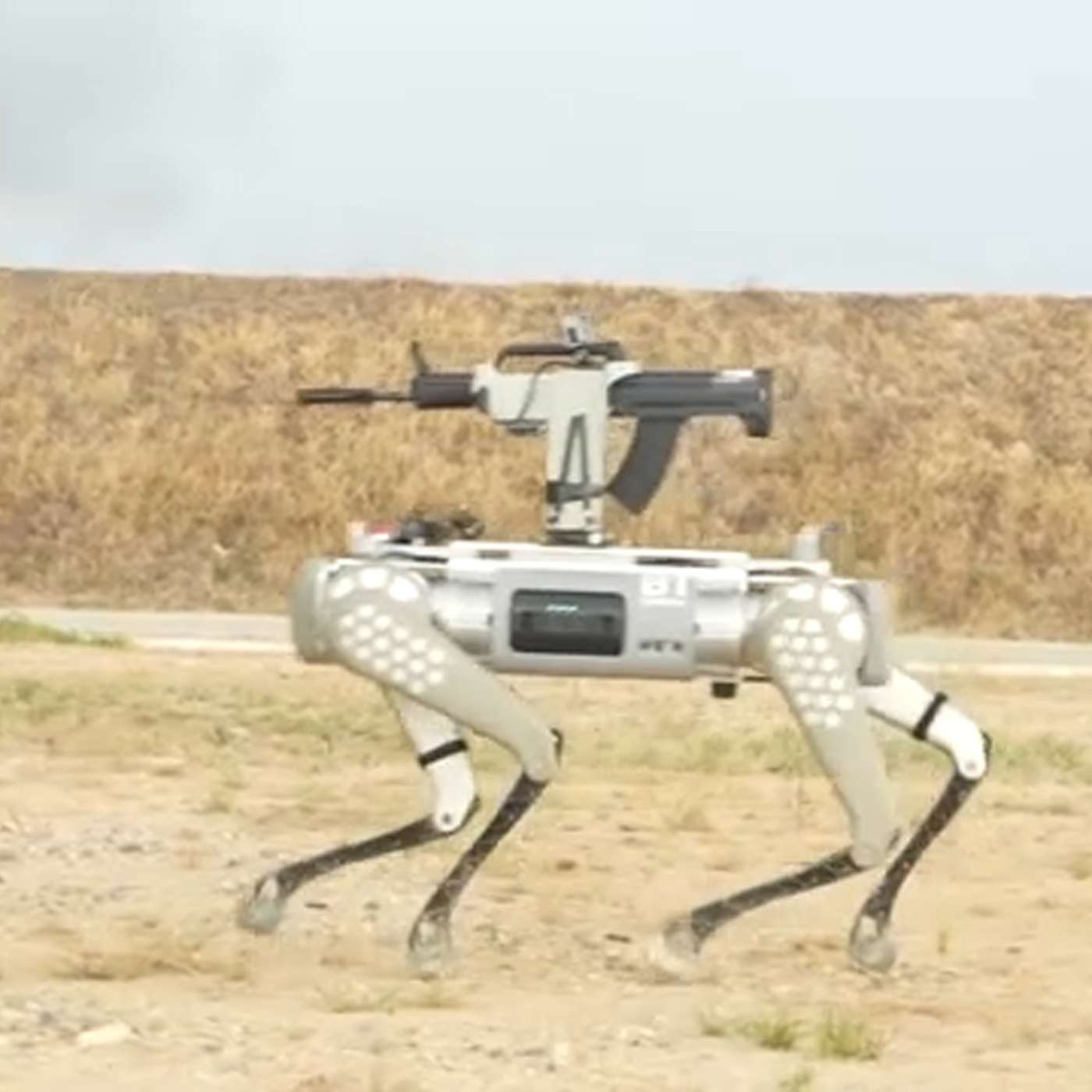 ep. 212 - Bad Robot Dog! Bad! episode artwork
