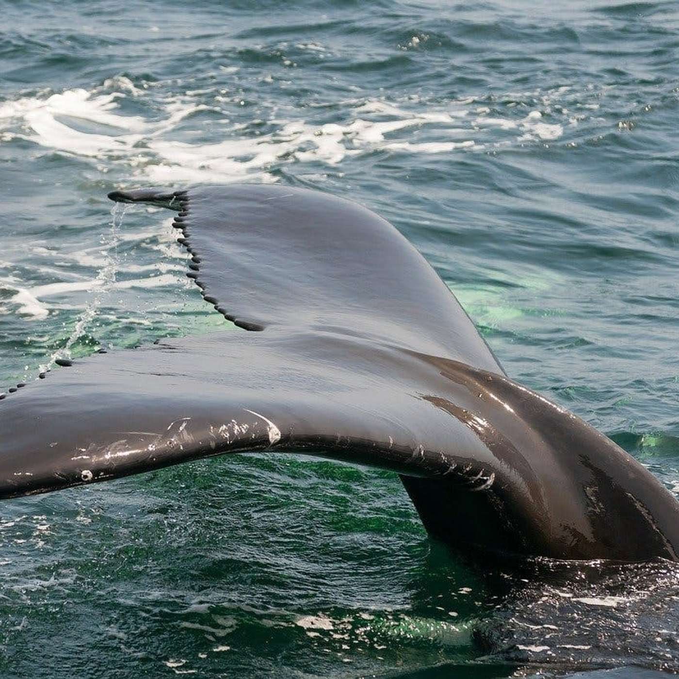 Nature and Science 4 Kids