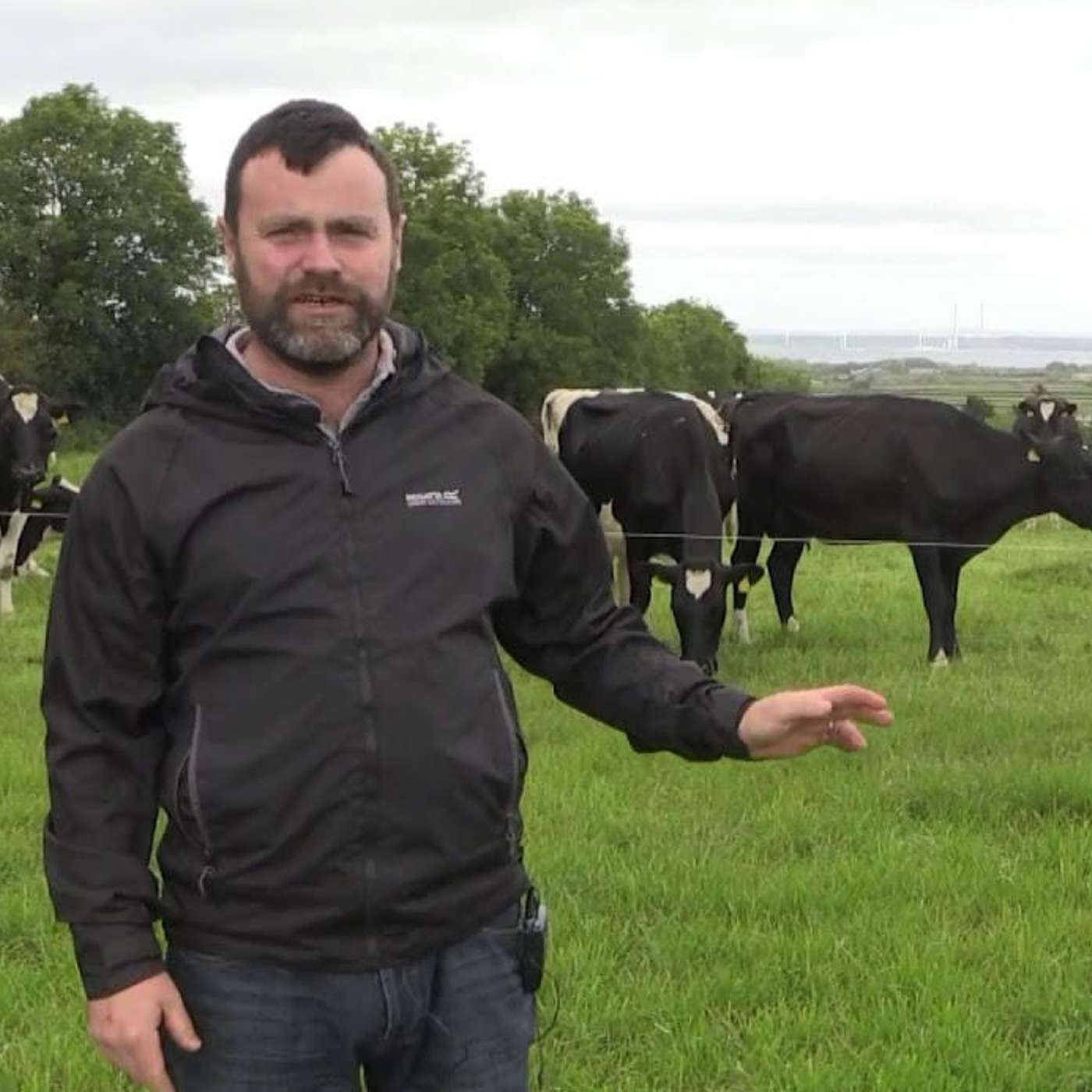 Returning from Dublin to Kerry - Karol Kissane's Dairy Farming Story