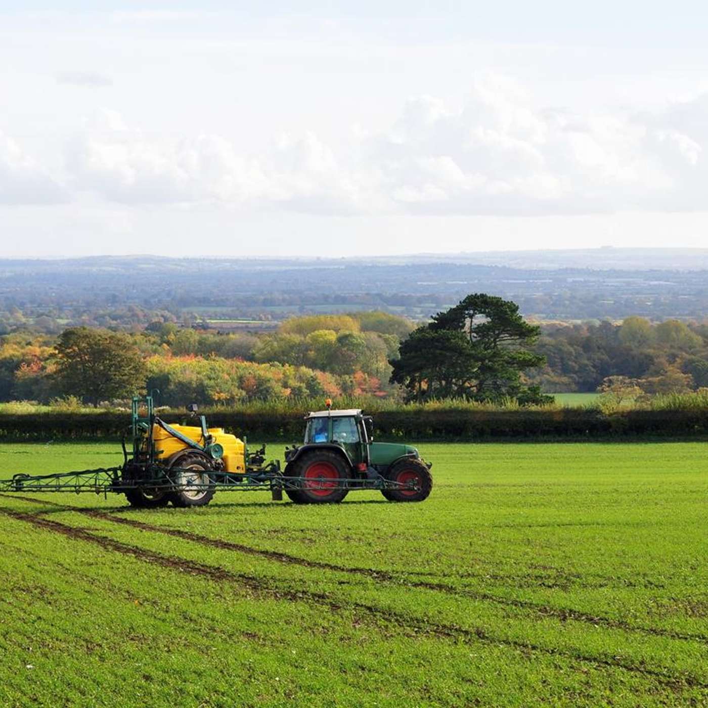 Post-emerge weed control and aphid control in winter cereals Post-emerge weed control and aphid control in winter cereals