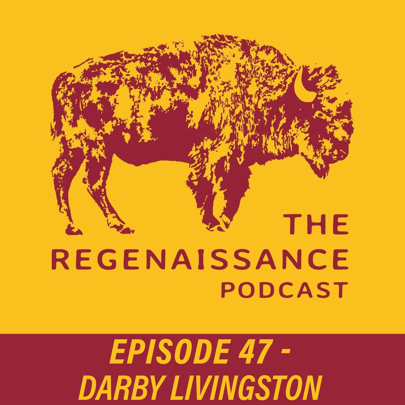 The Regenaissance Podcast