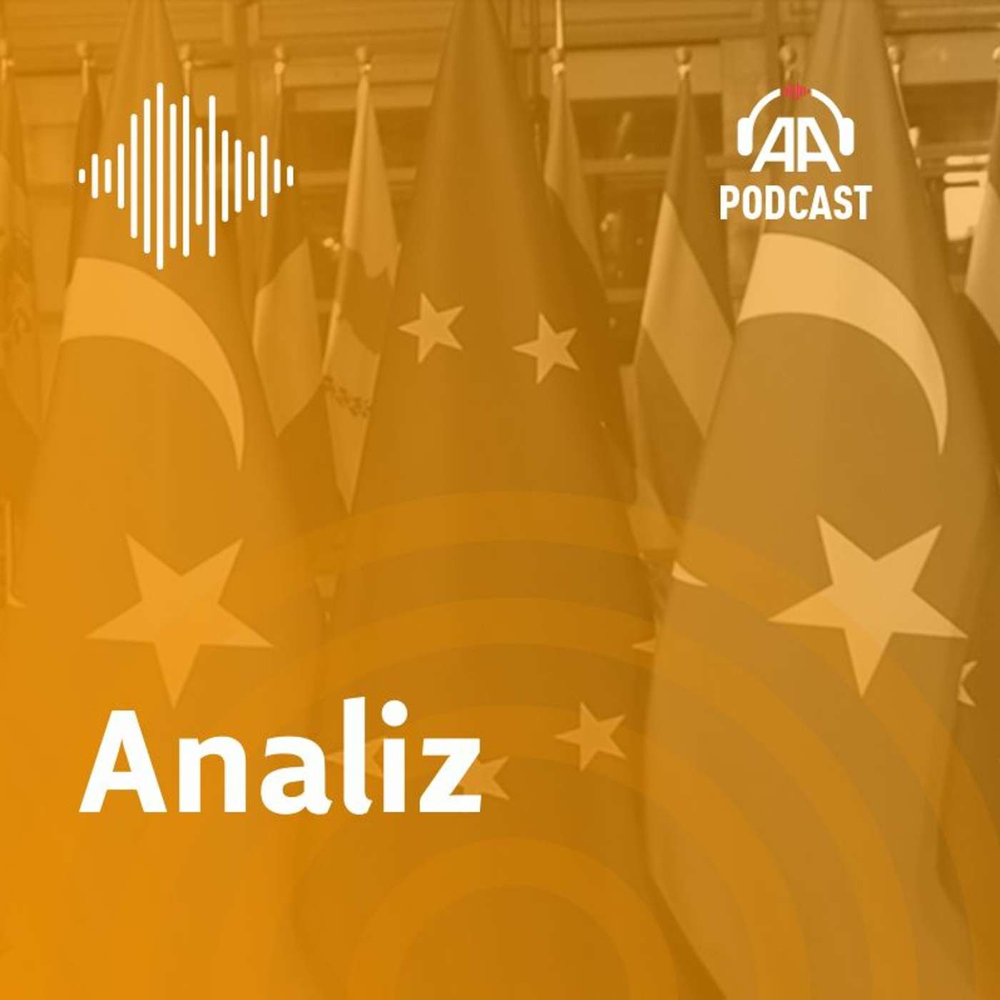 Analiz ve görüşler