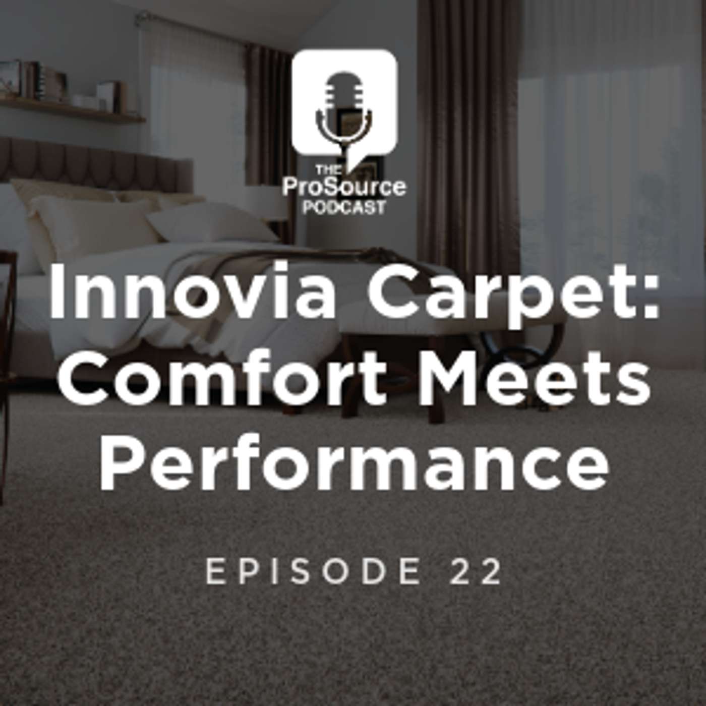 Innovia Carpet: Comfort Meets Performance