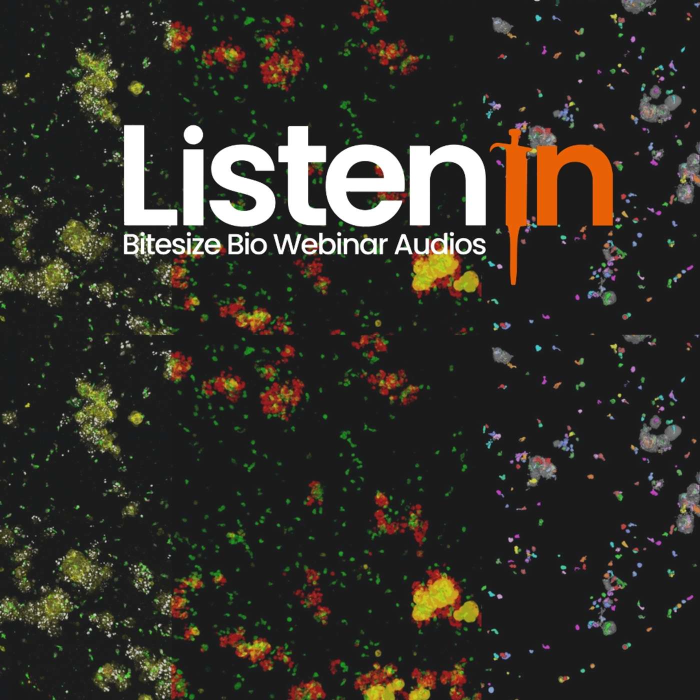 AI-Powered 3D Organoid Analysis AI-Powered 3D Organoid Analysis