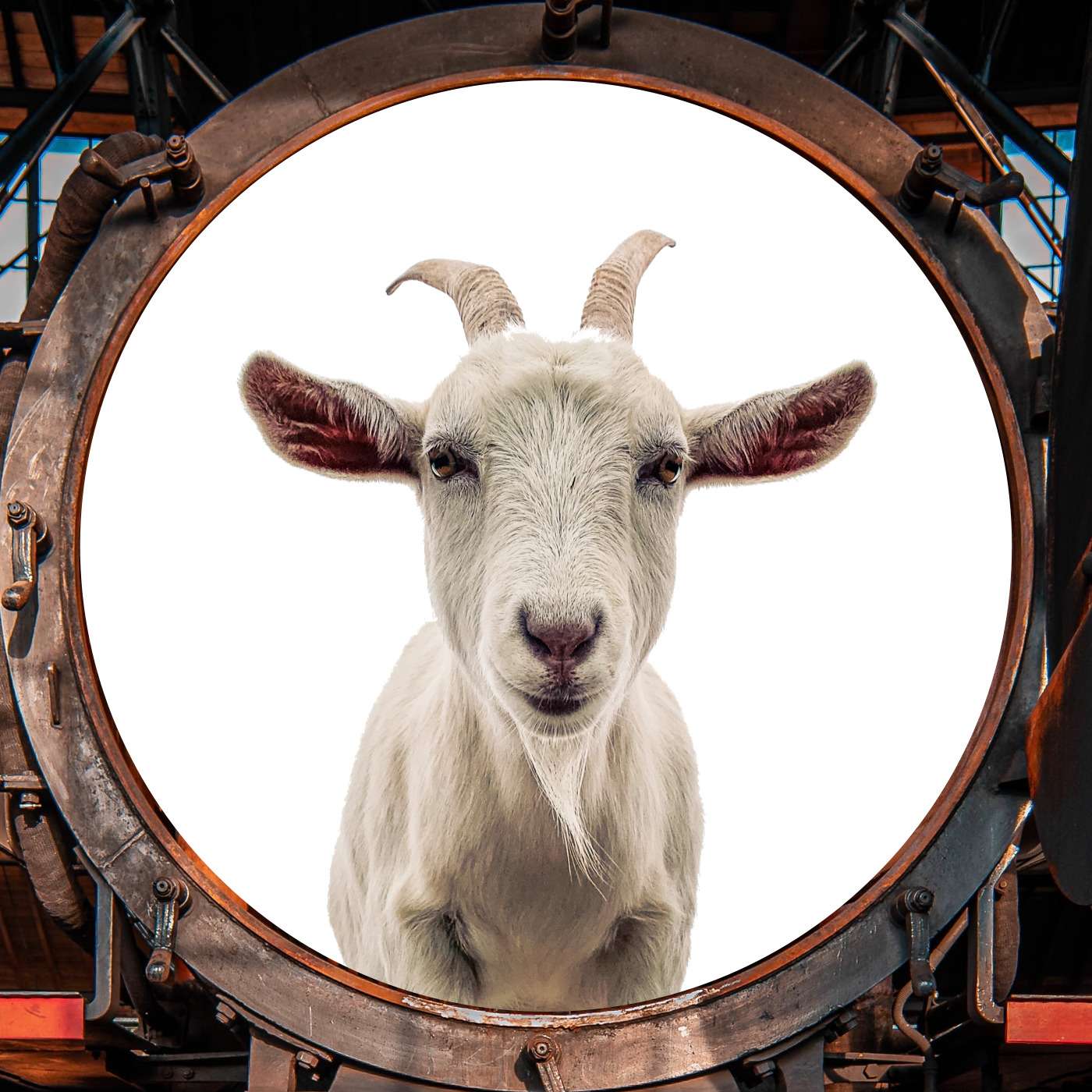 Who is Molly Whiskers? Who is Molly Whiskers?