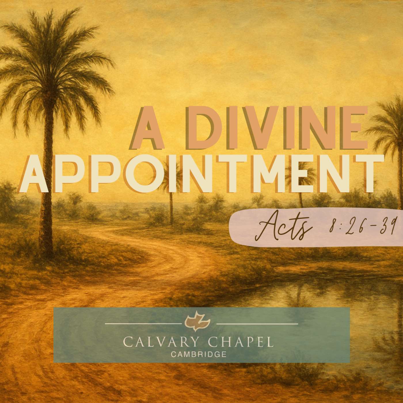 A Divine Appointment episode artwork