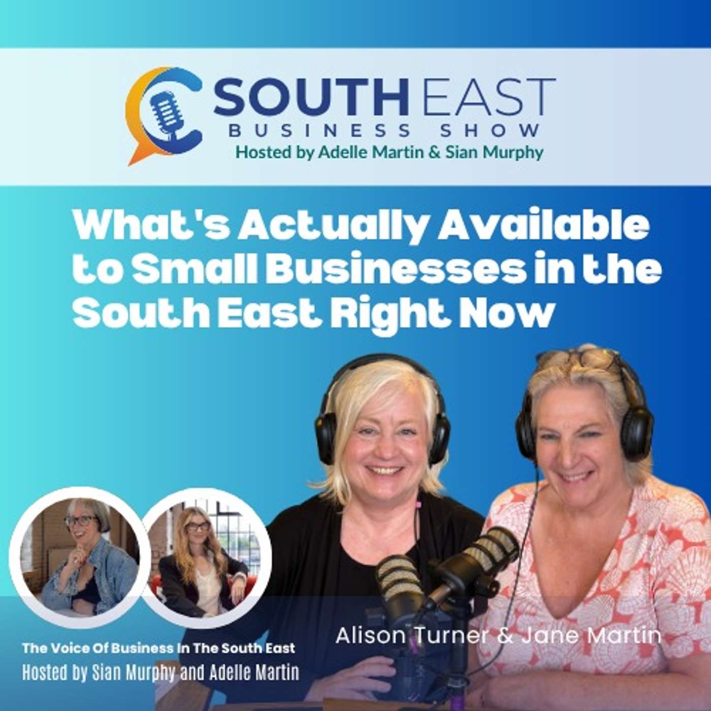 What's Actually Available to Small Businesses in the South East Right Now episode artwork