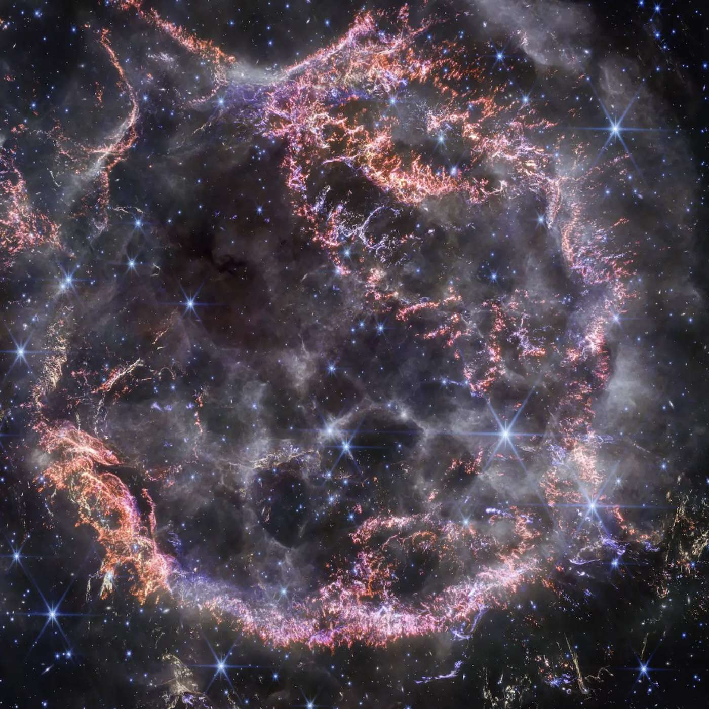 James Webb Telescope Reveals Stunning Images of Supernova, Spectacular Geminids Meteor Shower Set to Light Up December Skies, Massive Pliosaur Skull Unearthed on Jurassic Coast, and more...