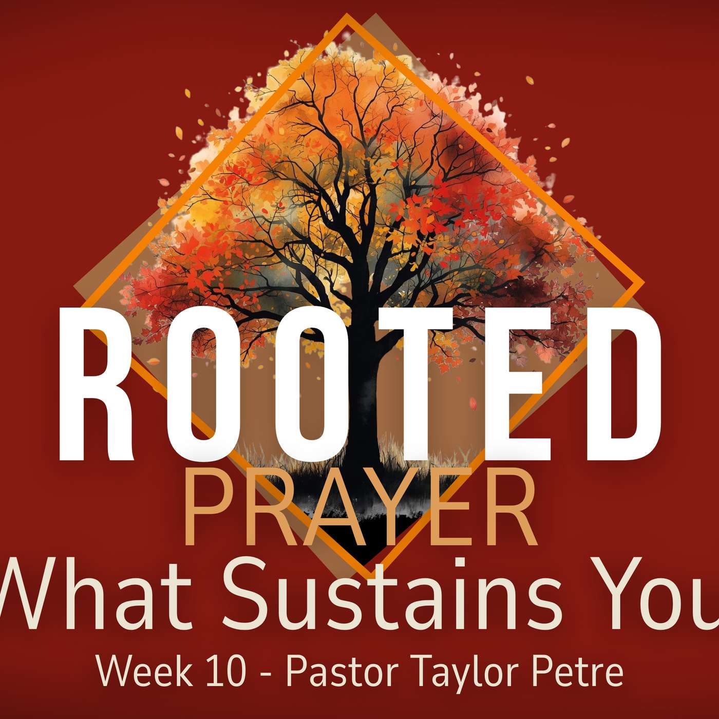 Rooted | What Sustains You? | Week 10