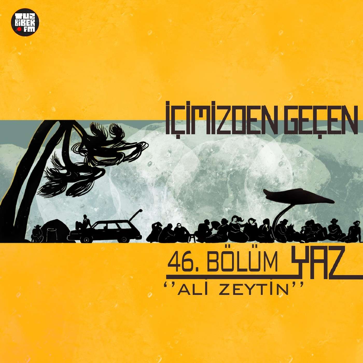#46 Ali Zeytin episode artwork