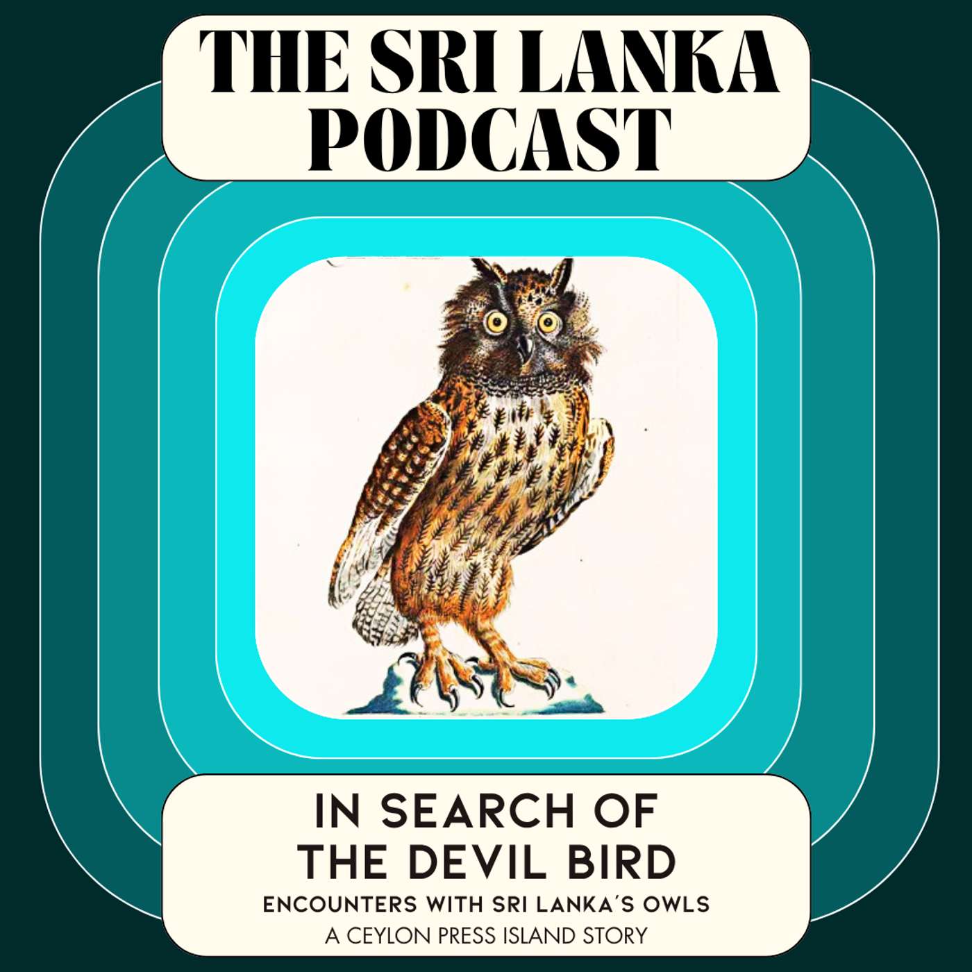 In Search Of The Devil Bird: Encounters with Sri Lanka’s Owls. A Ceylon Press Island Story episode artwork