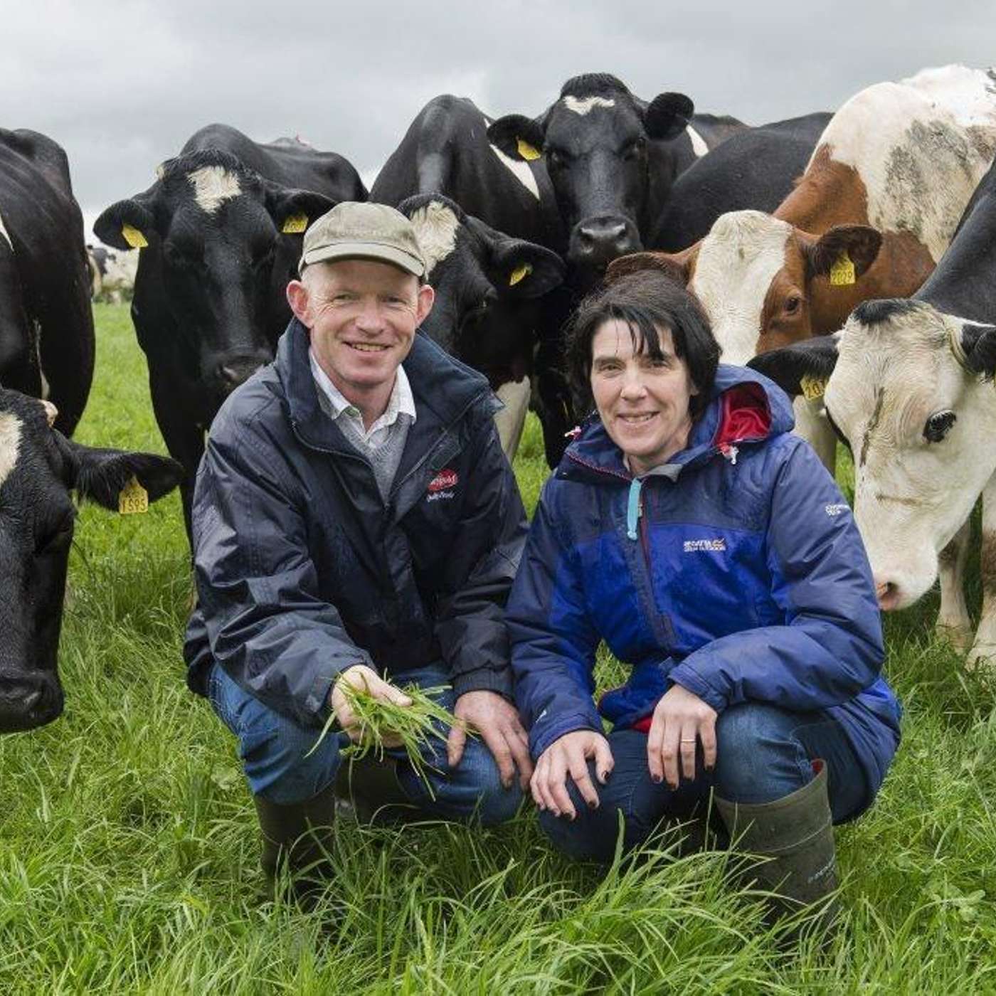 The importance of hygiene and sustainability on the Walsh farm