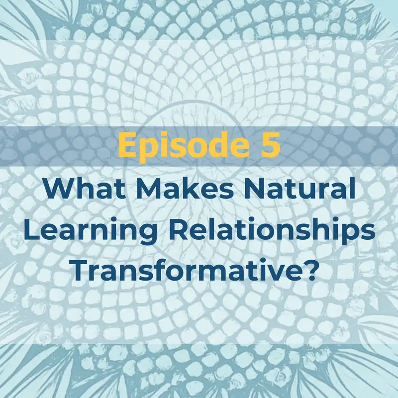 What Makes Natural Learning Relationships Transformative? 